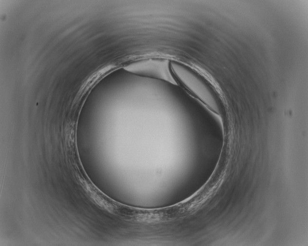 X0000081420793200702021626