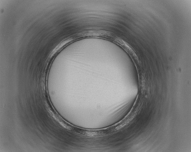 X0000081420794200702021626