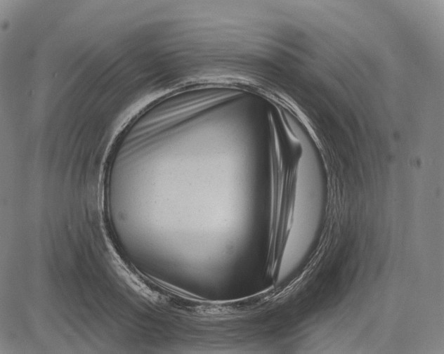 X0000081420795200702021626