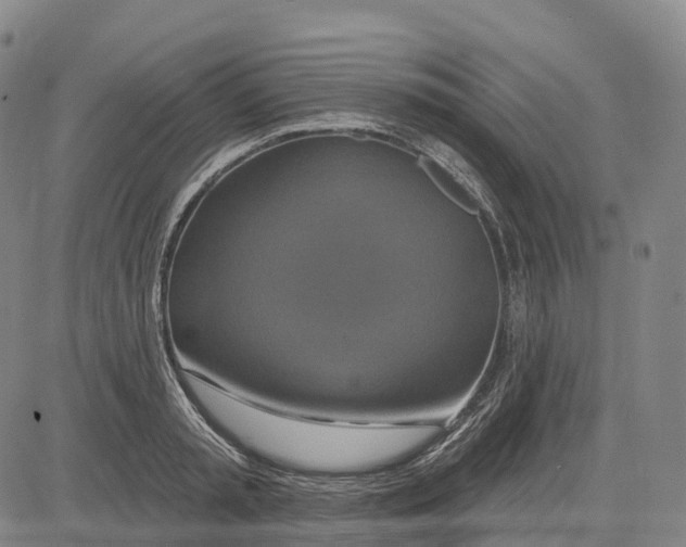 X0000081420797200702021626