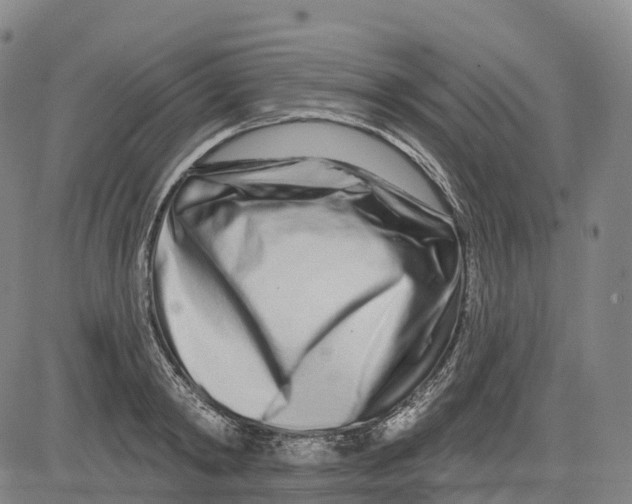 X0000081420798200702021626