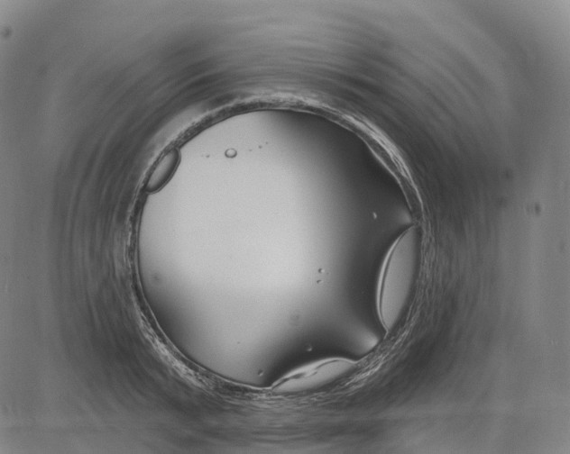 X0000081420799200702021626