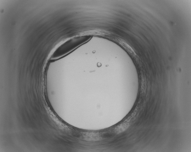 X0000081420800200702021626