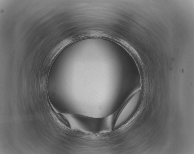 X0000081420801200702021626