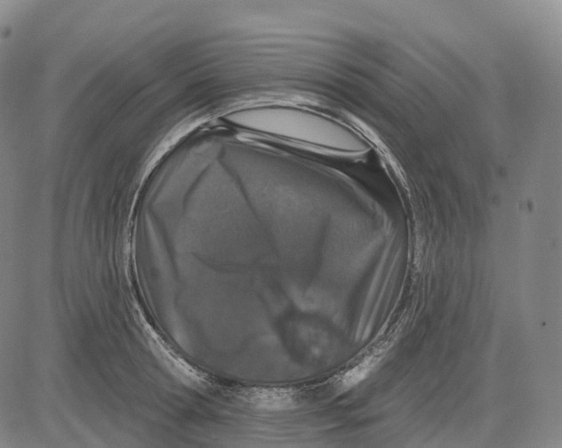 X0000081420802200702021626