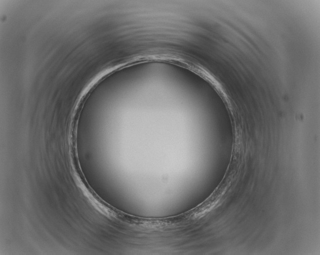 X0000081420803200702021626