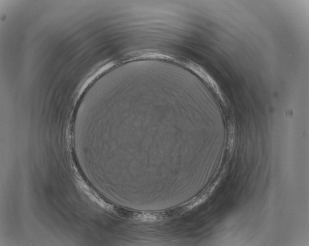 X0000081420806200702021626