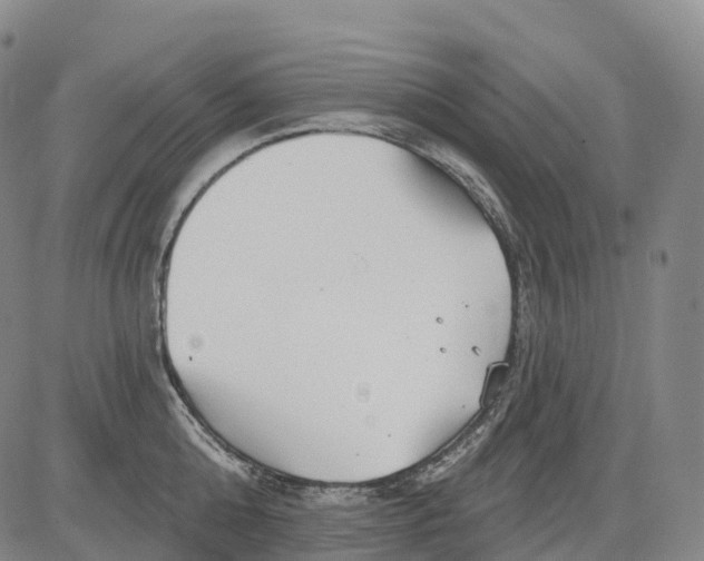 X0000081420808200702021626