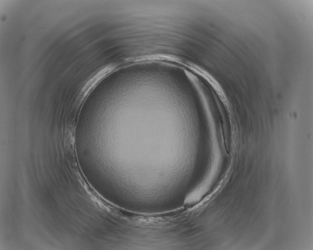 X0000081420809200702021626