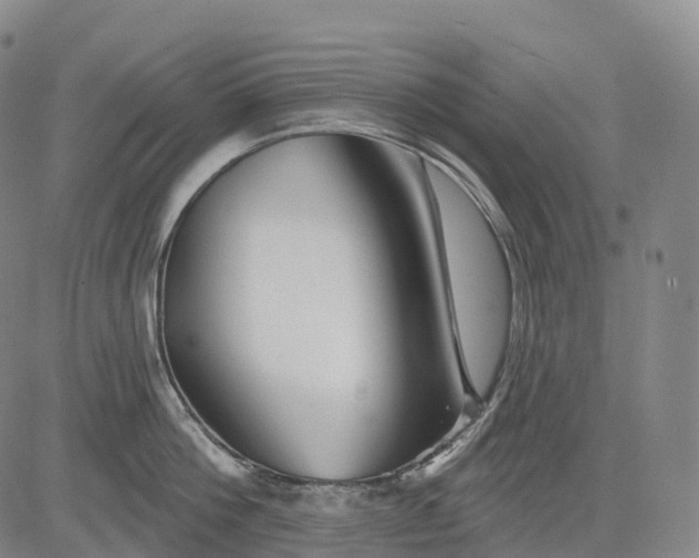 X0000081420812200702021626