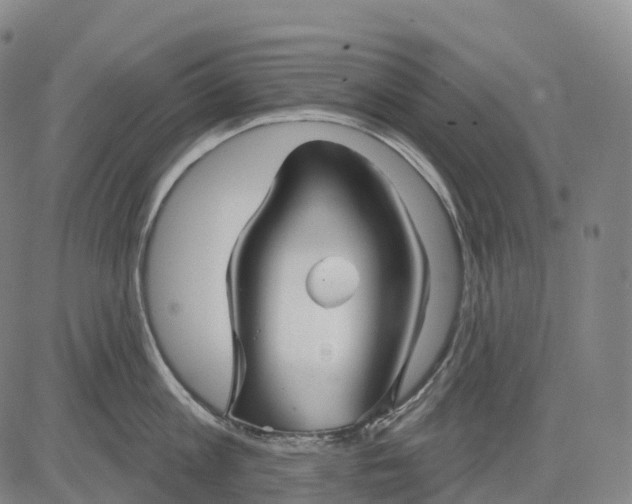 X0000081420813200702021626