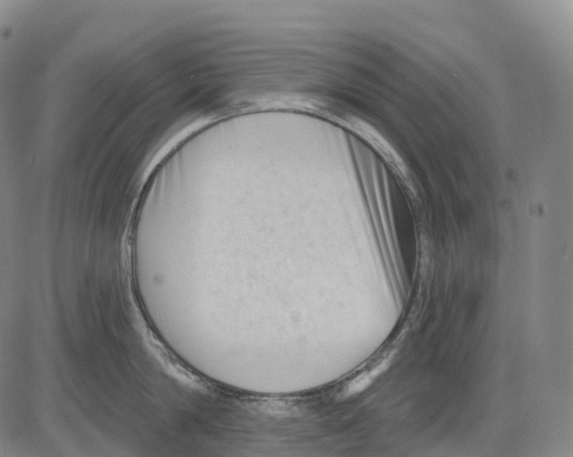 X0000081420814200702021626