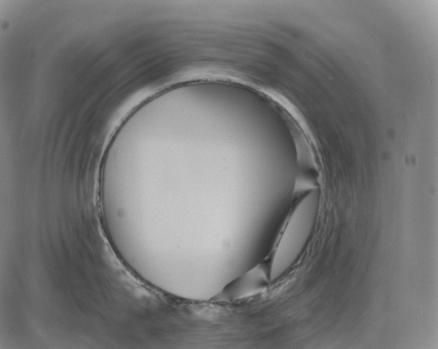 X0000081420815200702021626