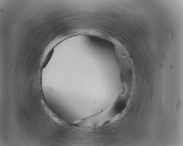 X0000081420816200702021626