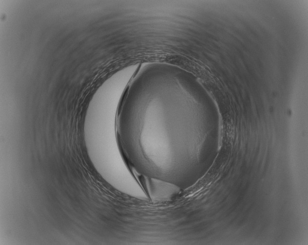 X0000081420818200702021625