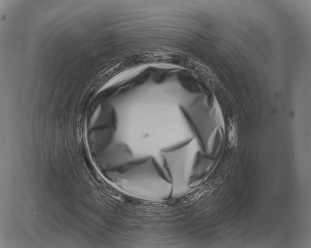 X0000081420819200702021625