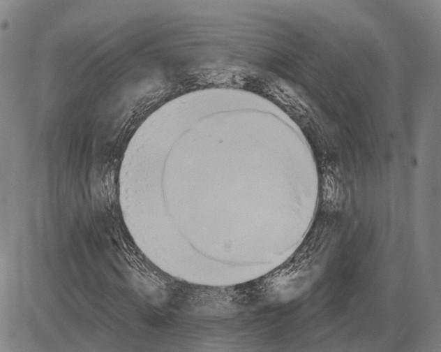 X0000081420820200702021625