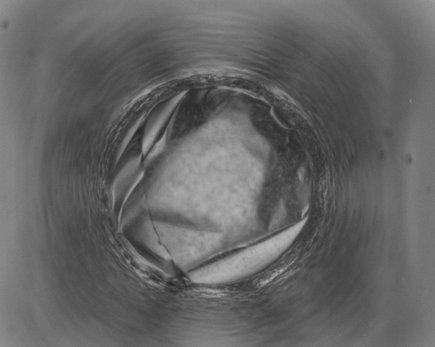 X0000081420822200702021625