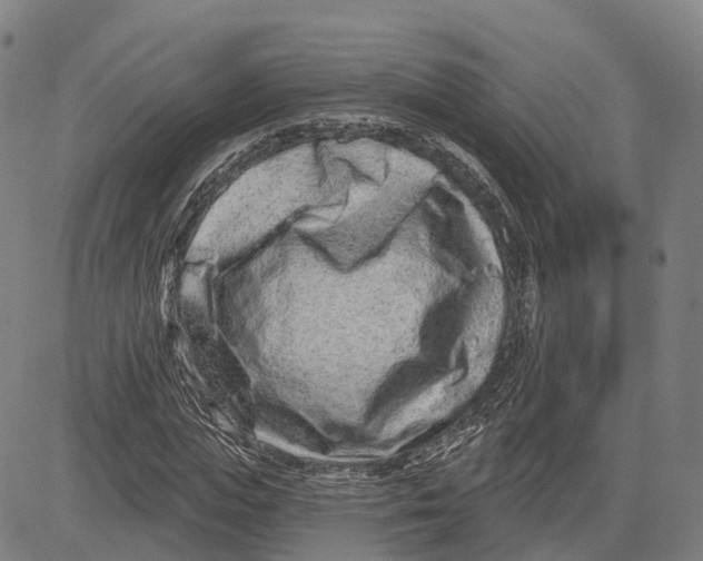 X0000081420823200702021625