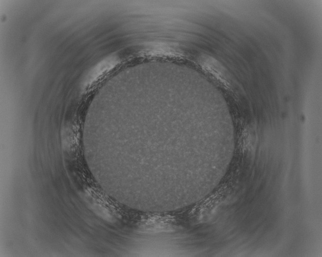 X0000081420824200702021625