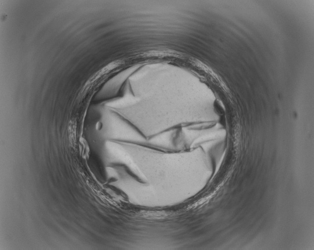 X0000081420825200702021625