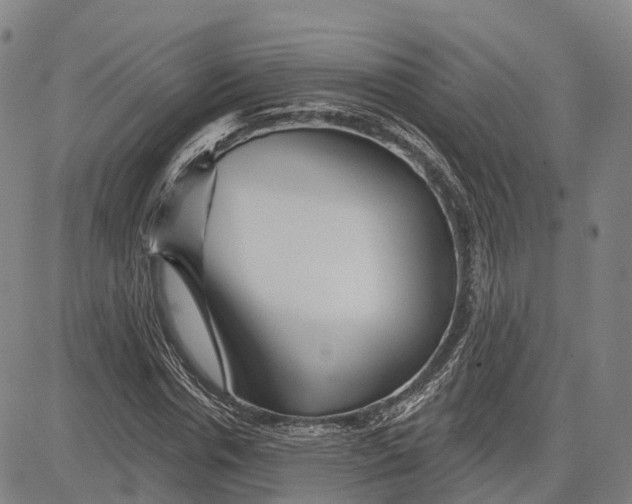 X0000081420826200702021625