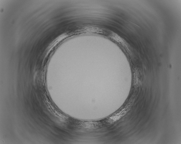 X0000081420828200702021625