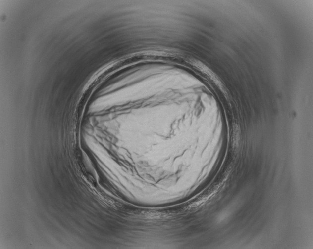 X0000081420829200702021625