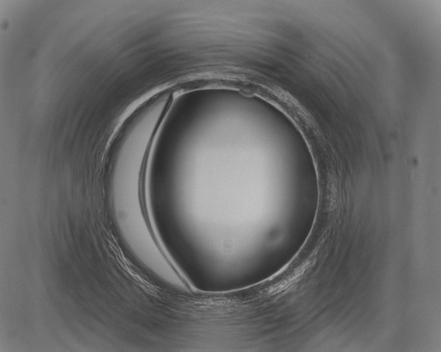 X0000081420830200702021625