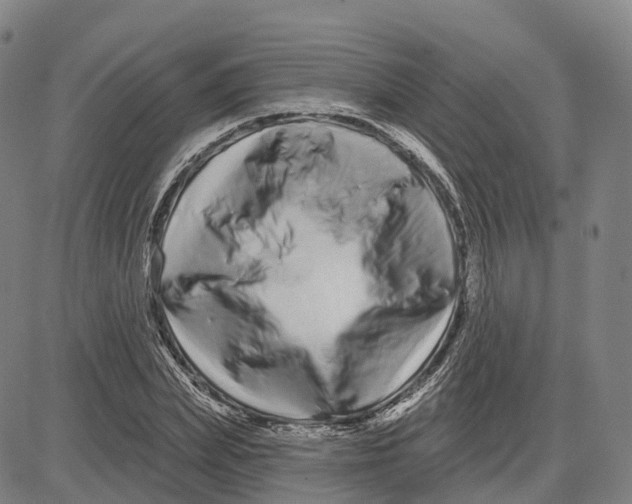 X0000081420831200702021625