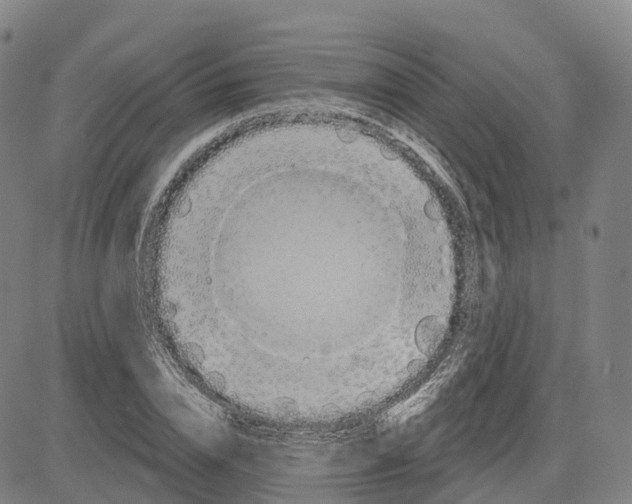 X0000081420832200702021625