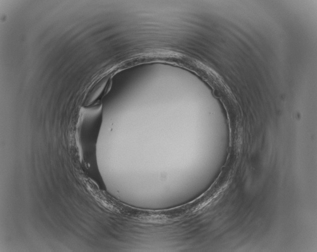 X0000081420833200702021625