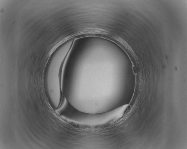 X0000081420834200702021625