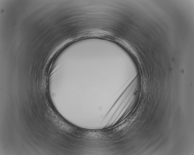 X0000081420835200702021625