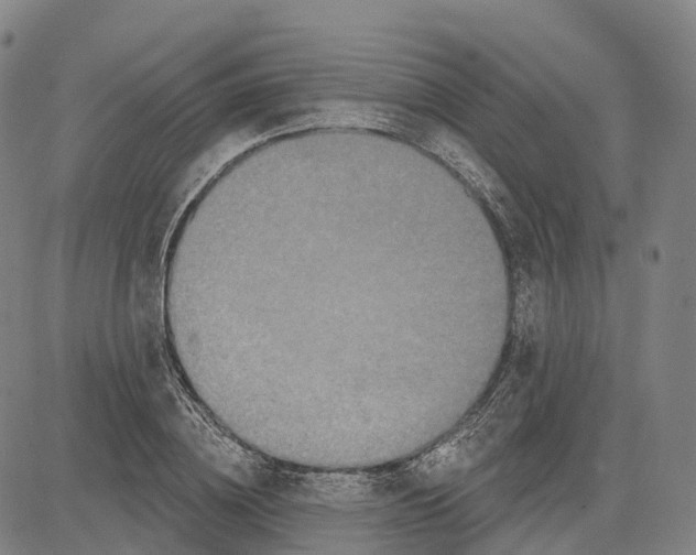 X0000081420836200702021625