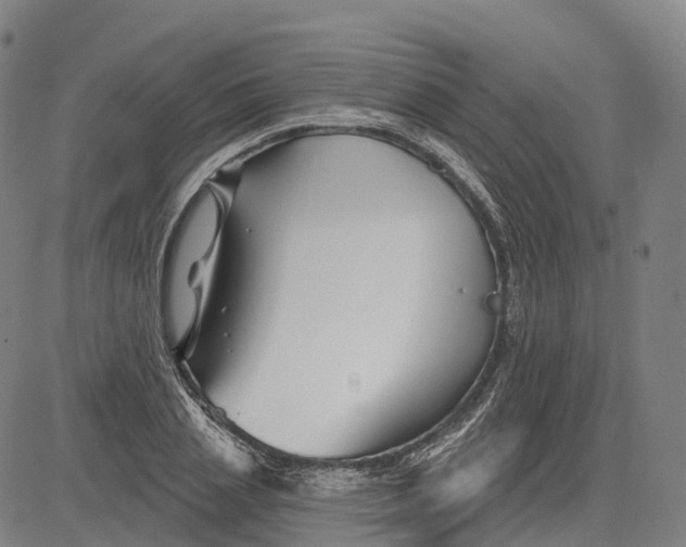 X0000081420837200702021625