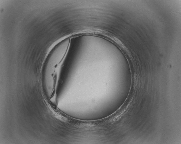 X0000081420838200702021625