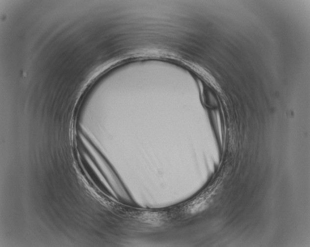 X0000081420839200702021625