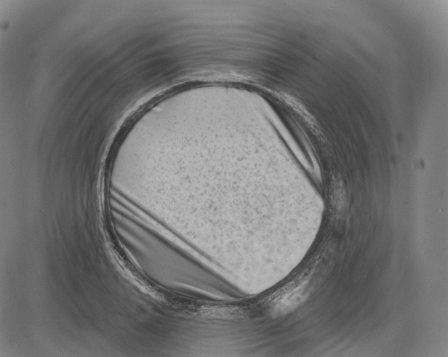 X0000081420840200702021625