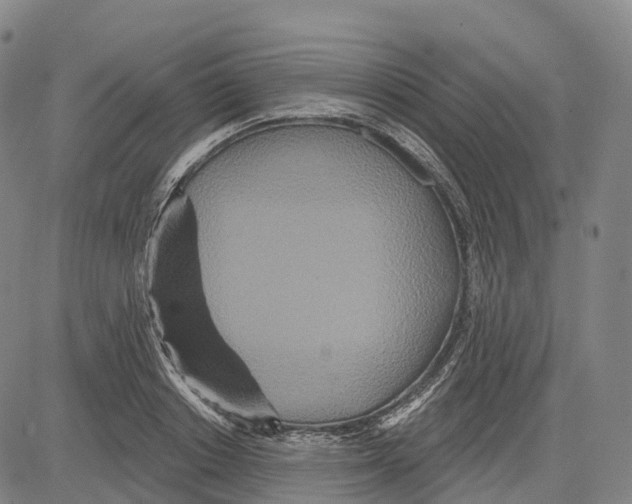 X0000081420842200702021625