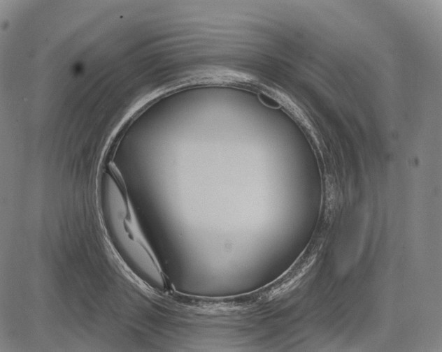 X0000081420843200702021625