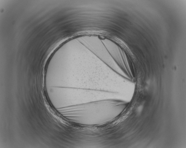 X0000081420844200702021625