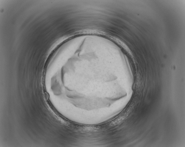 X0000081420847200702021625