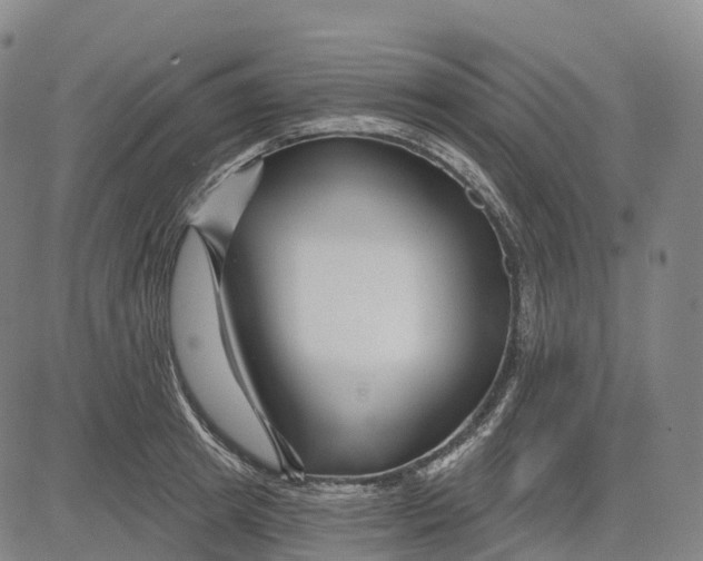 X0000081420849200702021625