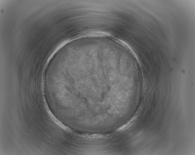 X0000081420851200702021625