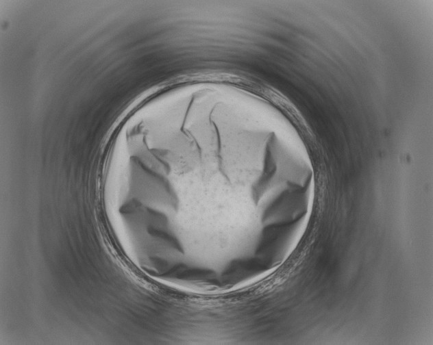 X0000081420852200702021625