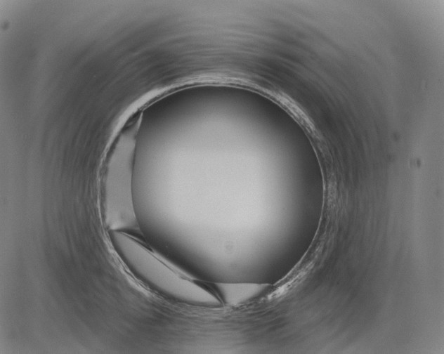 X0000081420854200702021626