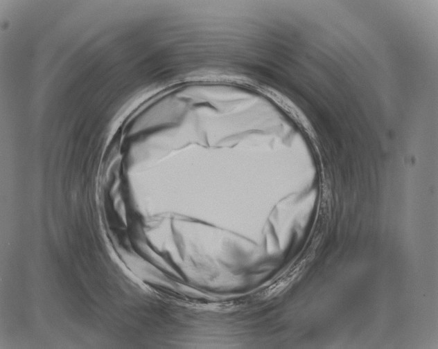 X0000081420855200702021626