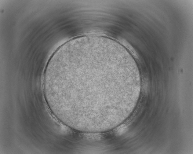 X0000081420856200702021626