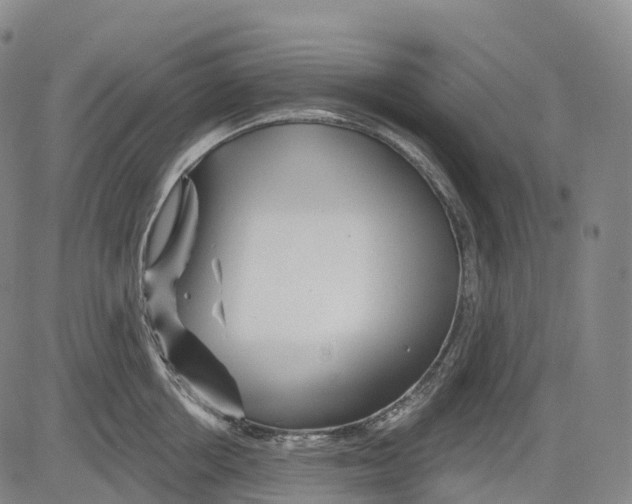 X0000081420858200702021626